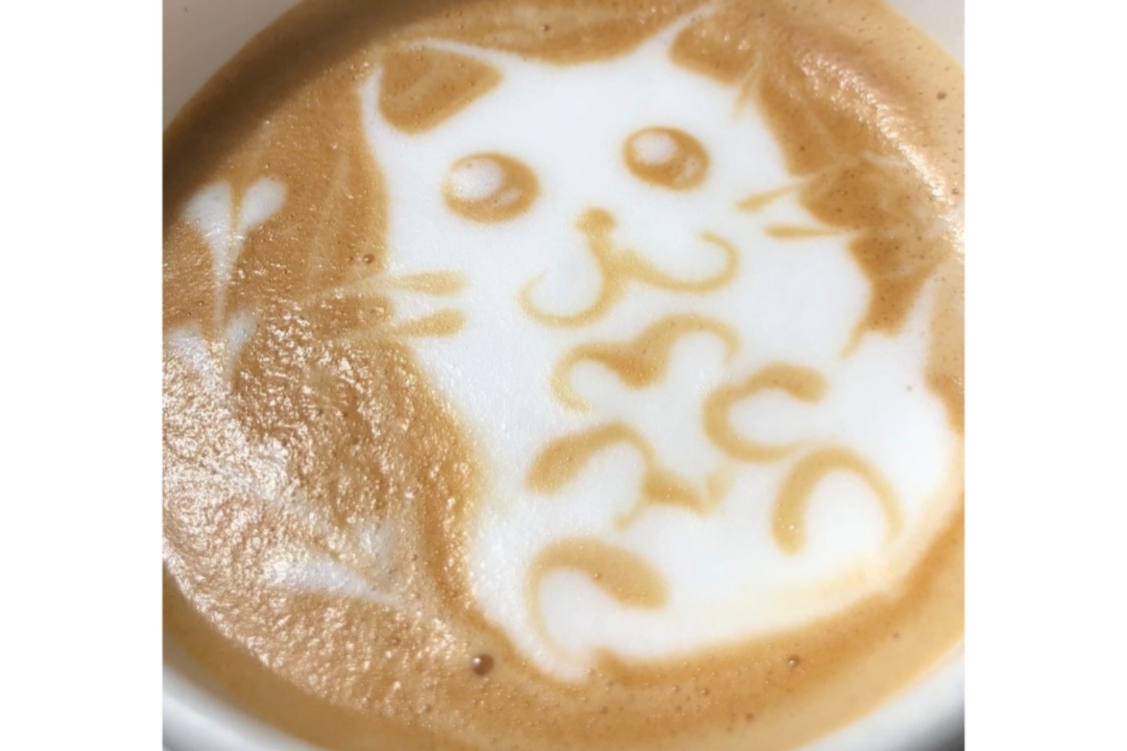 お好みの動物をリクエスト
